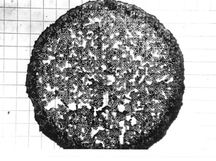 In 1964 developed round pen nib with 2mm diameter made of nylon fiber; U type